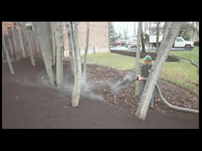 Hero background image